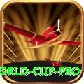 2019 world cup Bonus Max v3.1.6