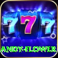 andy flower Pro1 v4.2.0
