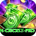 australian cricket Extreme APK v2.0.3
