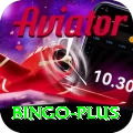 bingo Premium Edition v5.3.4