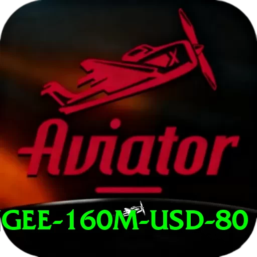 bungee 160m usd 80 Elite v1.0.8 - 2
