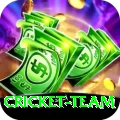 cricket team Deluxe Edition v1.4.9