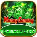 fastest ball in cricket Master Slots