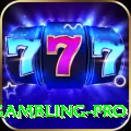 gambling Casino Premium v2.5.7