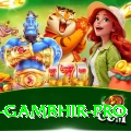 gautam gambhir Royal Casino App