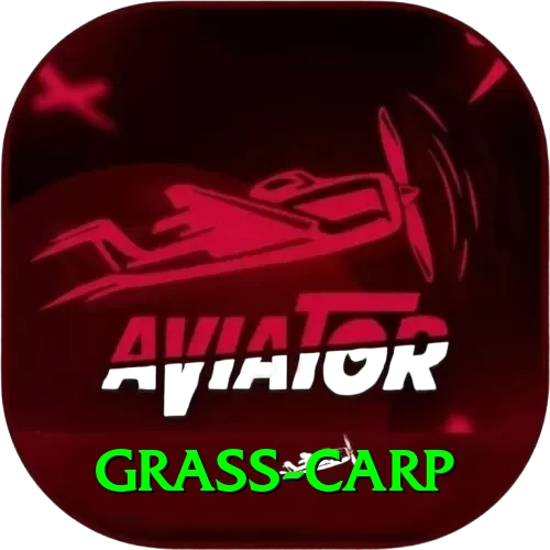 grass carp Premium Edition v5.8.5 - 2