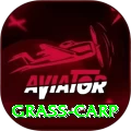 grass carp Premium Edition v5.8.5