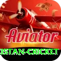 india pakistan cricket Ultimate v3.6.3
