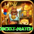india pakistan cricket match Elite v1.4.2