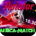 india south africa match Gold Edition v3.6.6