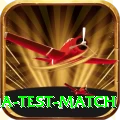 india test match Gold Edition v4.8.3