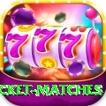 india upcoming cricket matches VIP Edition v2.5.7