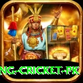 make money betting cricket pk Pro Max v2.3.1