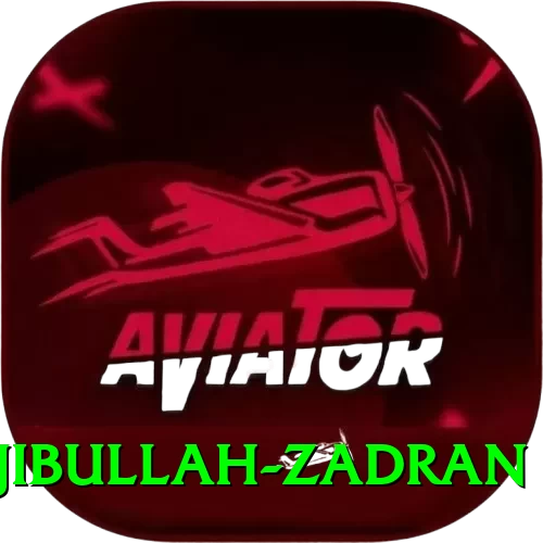 najibullah zadran Turbo Pro v2.3.4 - 2