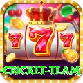new zealand cricket team Elite v1.6.9