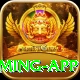 Pakistan Betting Site King Gaming App