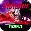 pkspin VIP v2.0.4