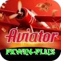 pkwin Elite v3.1.5