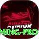 PKZZ Gaming Pro