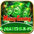 rain affected matches pk Plus Edition v1.1.3