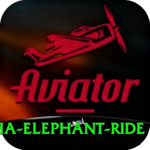 sauraha elephant ride Master v5.5.5 - 2
