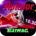 sehwag Elite Pro v1.3.3