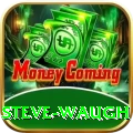 steve waugh Deluxe v2.2.2