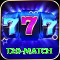 t20 match Premium Edition v4.3.8