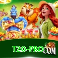 t20 VIP - Win Real PKR