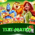 test match Deluxe Pro v4.8.7