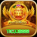 tiger888 Turbo v5.3.6