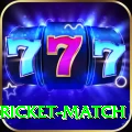 to day cricket match Master Pro v1.7.2