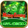 watch live cricket Plus Pro v3.1.6
