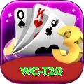 wc t20 Turbo Pro v3.4.6