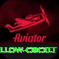 willow cricket Deluxe Edition v5.3.2