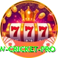 willow cricket Turbo - Free Download