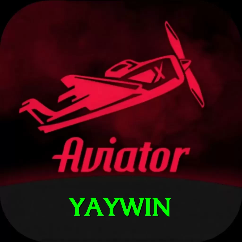 yaywin Pro v4.8.3 - 2